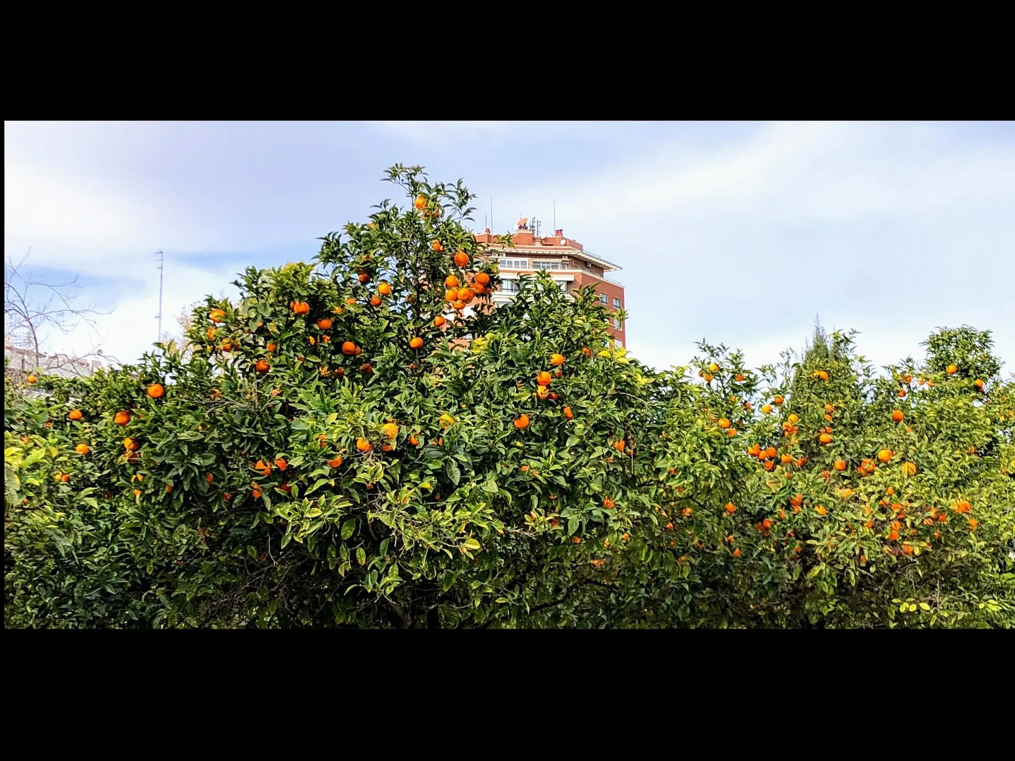User banner image