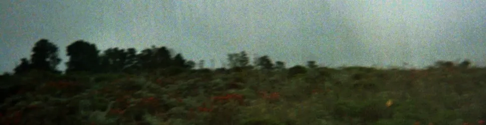 User banner image