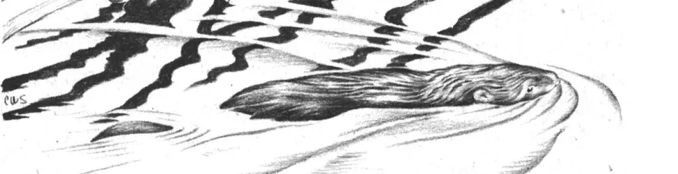 List banner