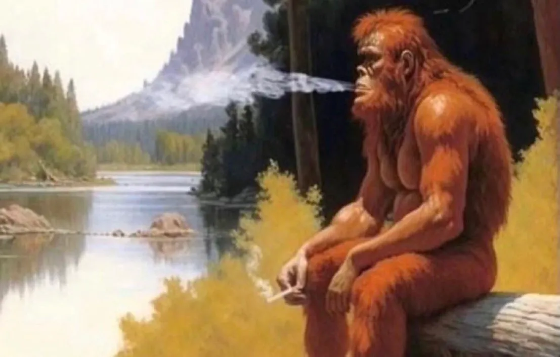 User banner image