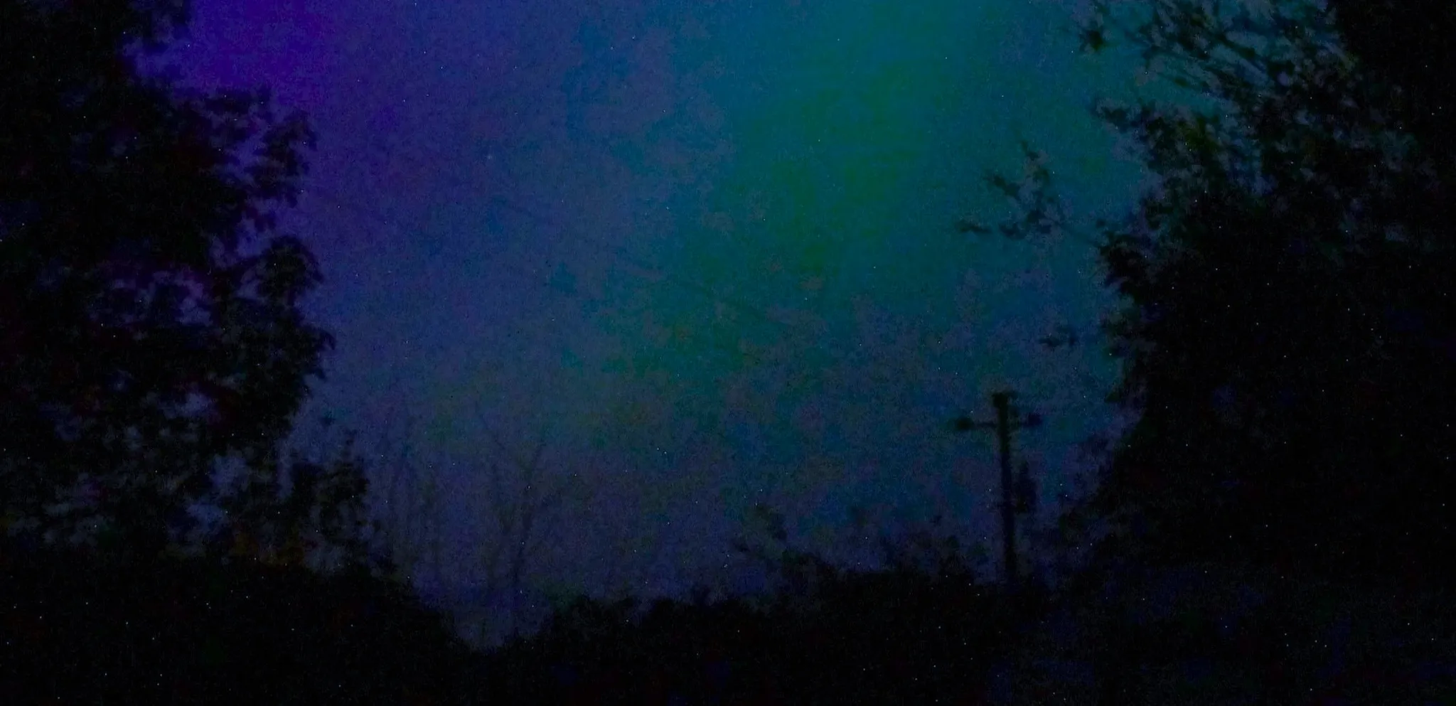 User banner image