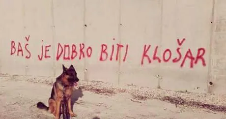 User banner image