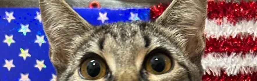 User banner image
