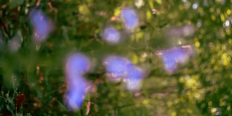 User banner image