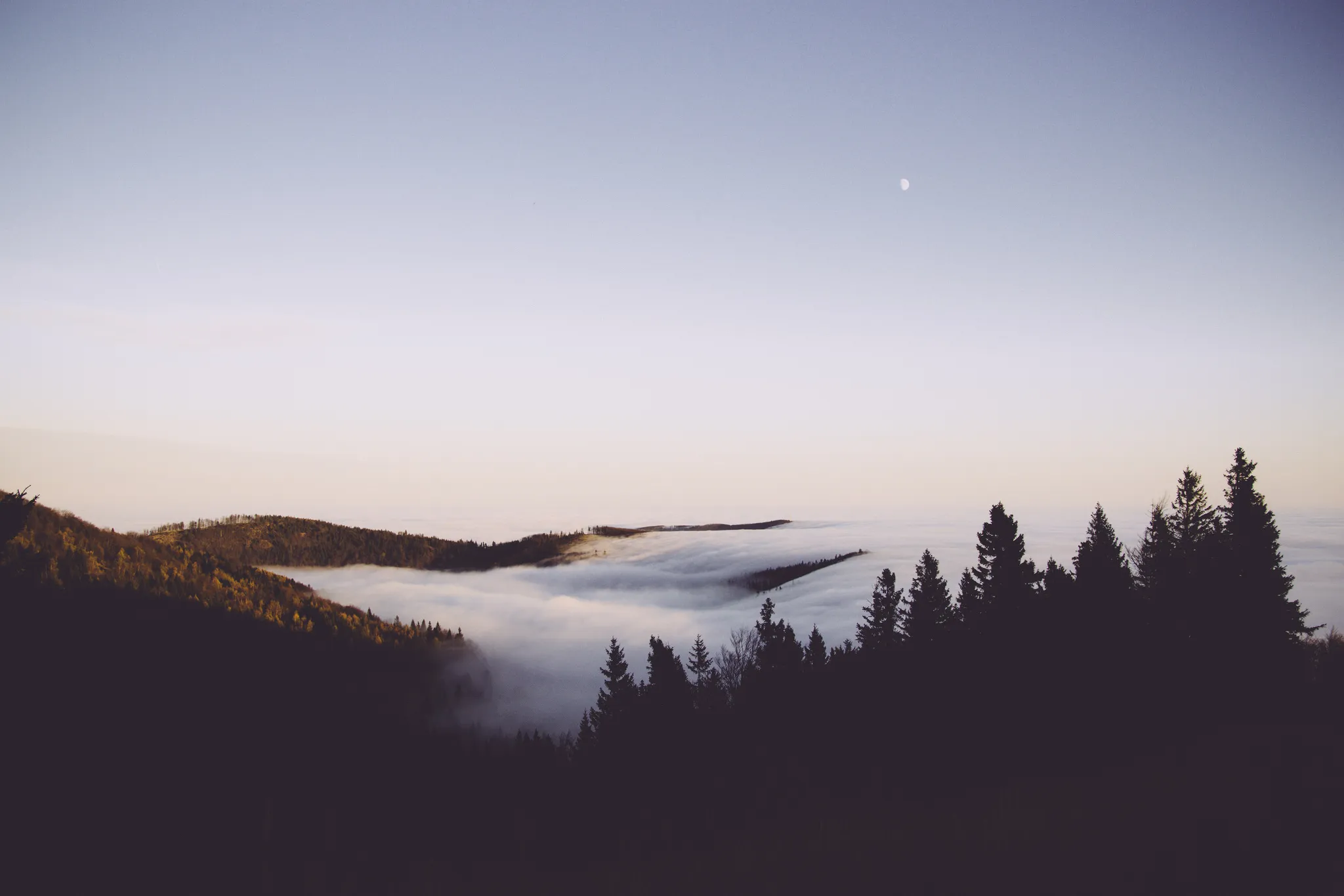 User banner image