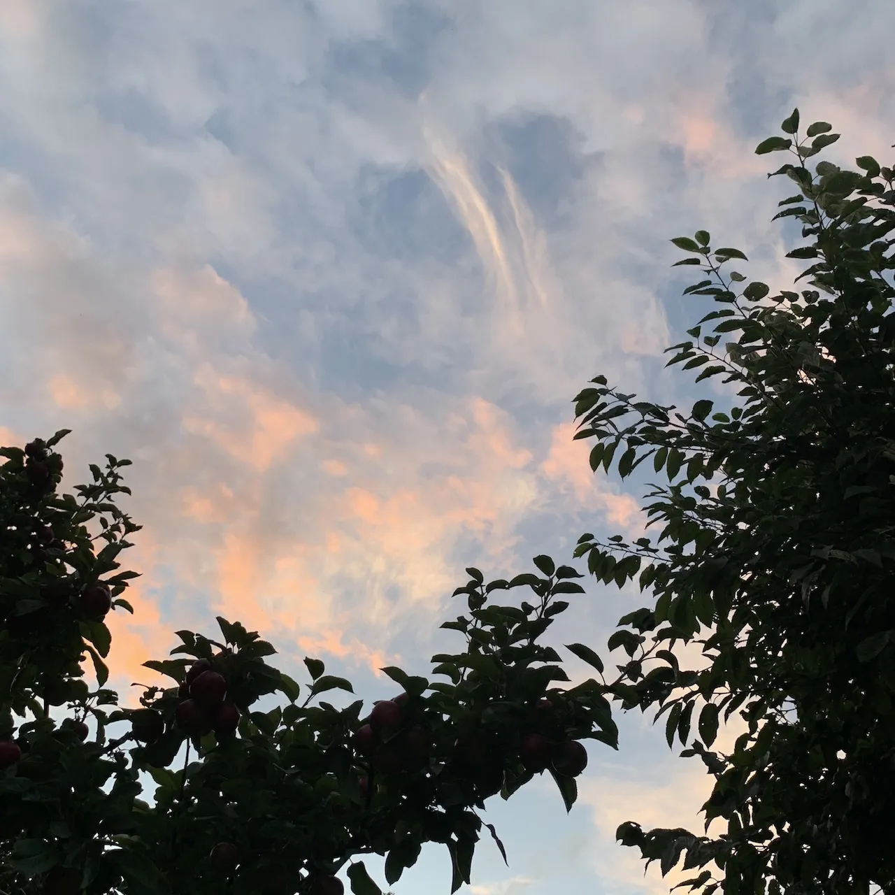 User banner image