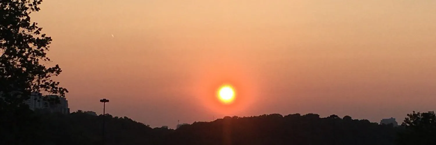 User banner image