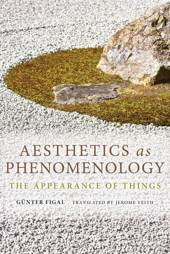 Aesthetics as phenomenology