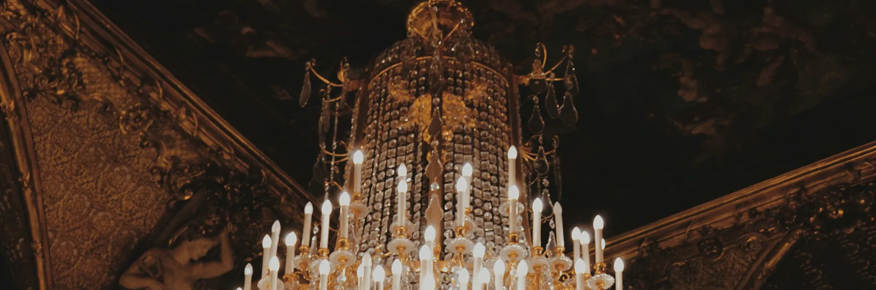 User banner image