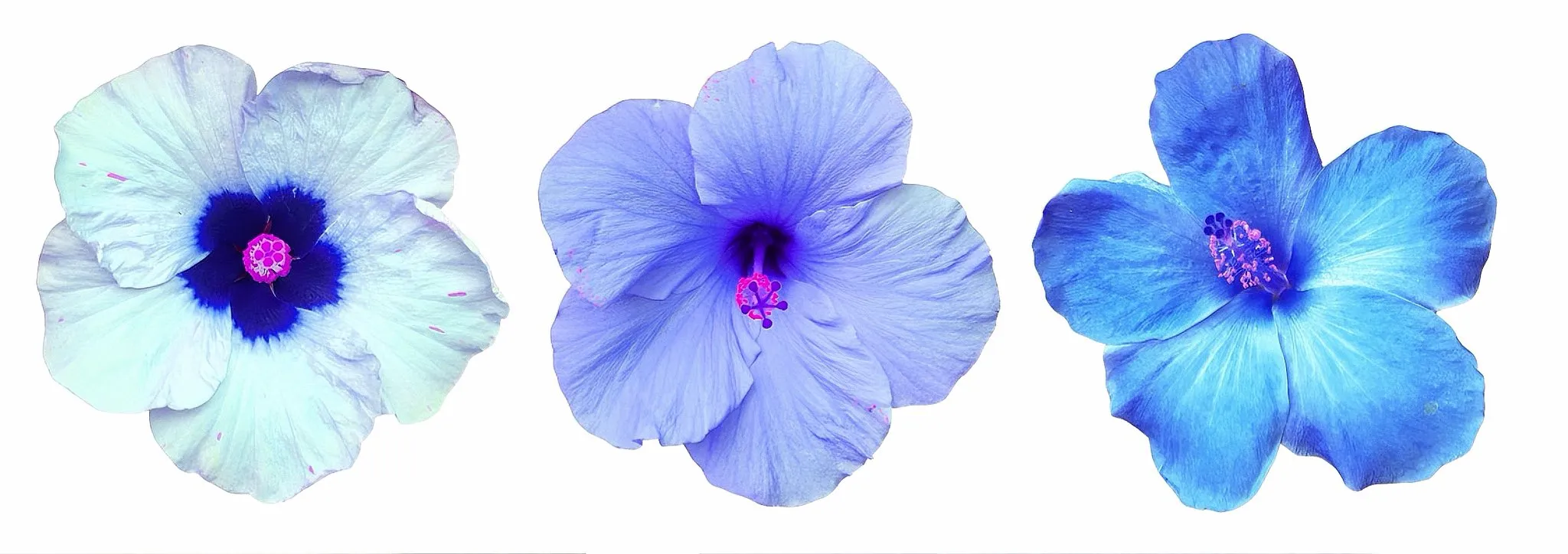 User banner image
