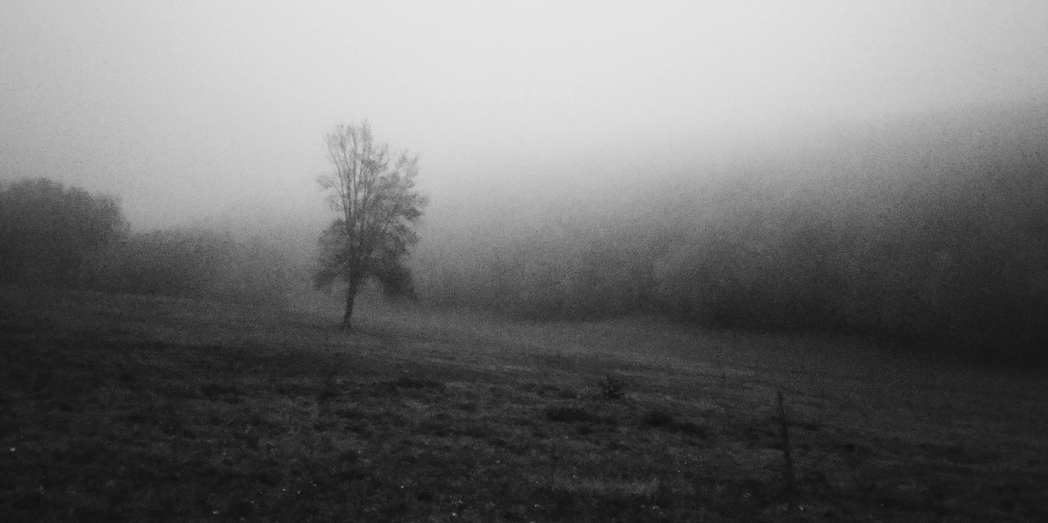User banner image
