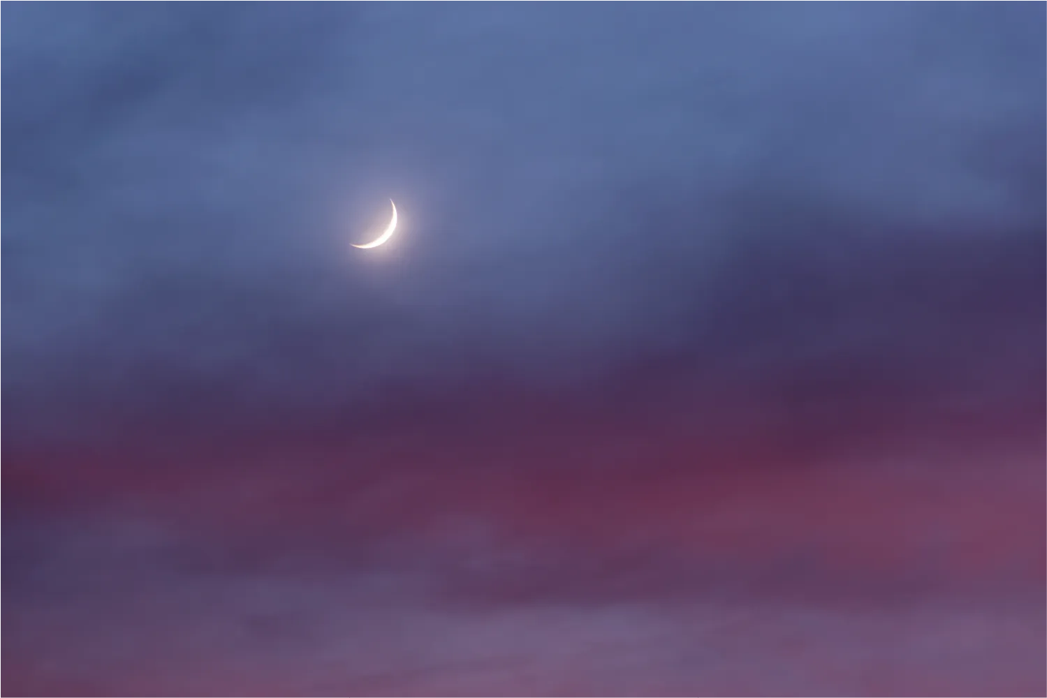 User banner image