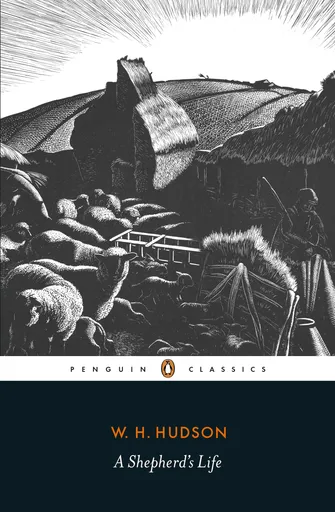 A shepherd's life
