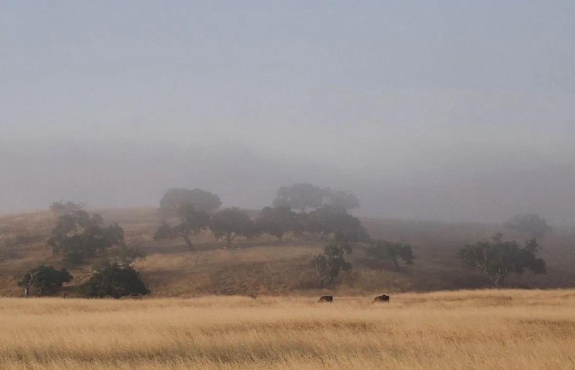 Writing banner image