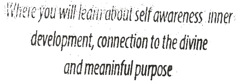 User banner image