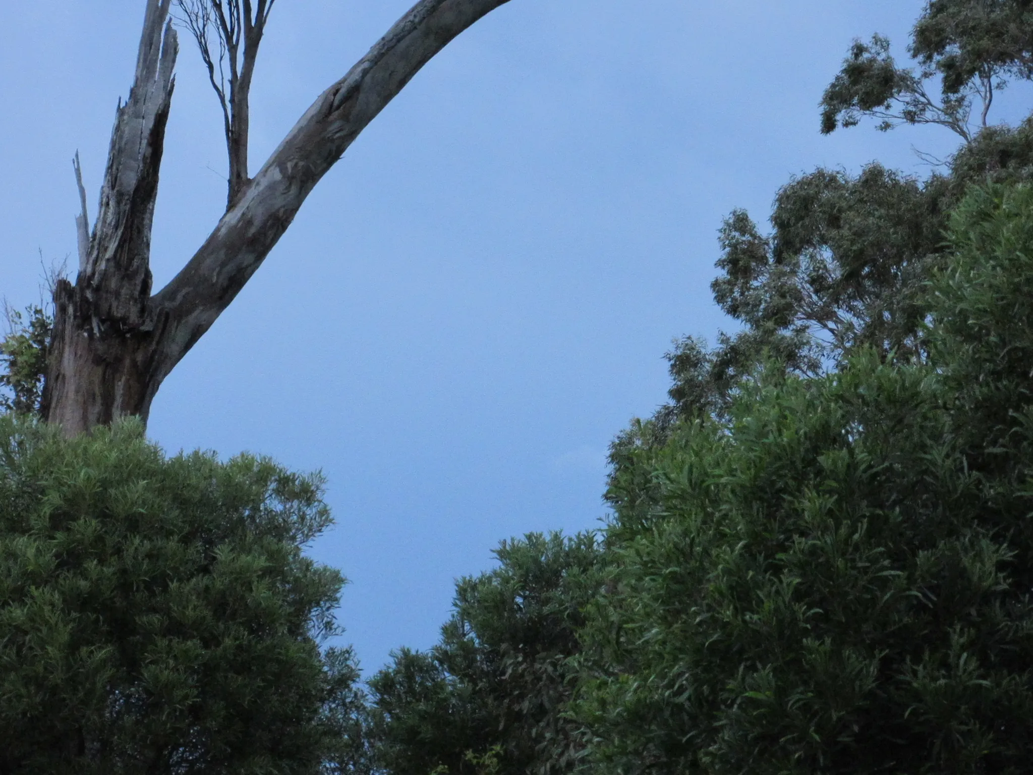 User banner image