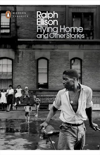 Flying home and other stories