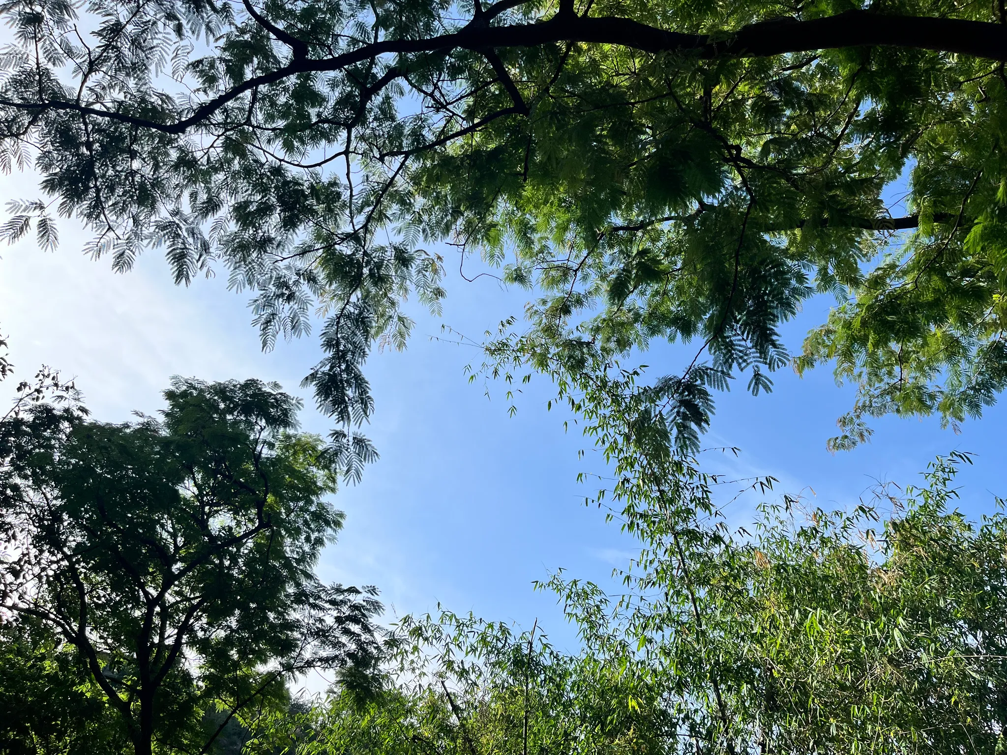 User banner image
