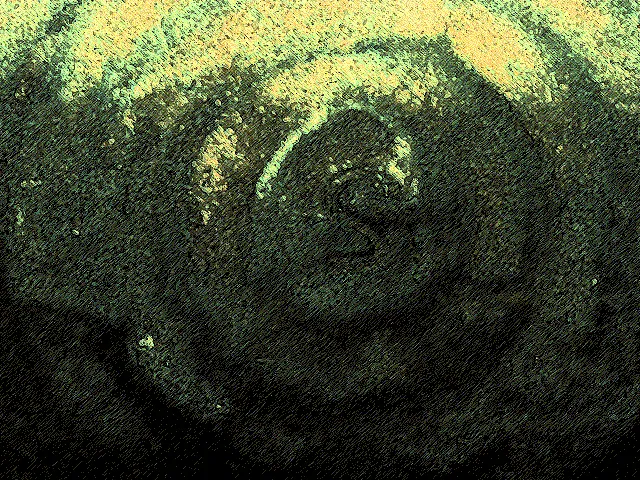 User banner image