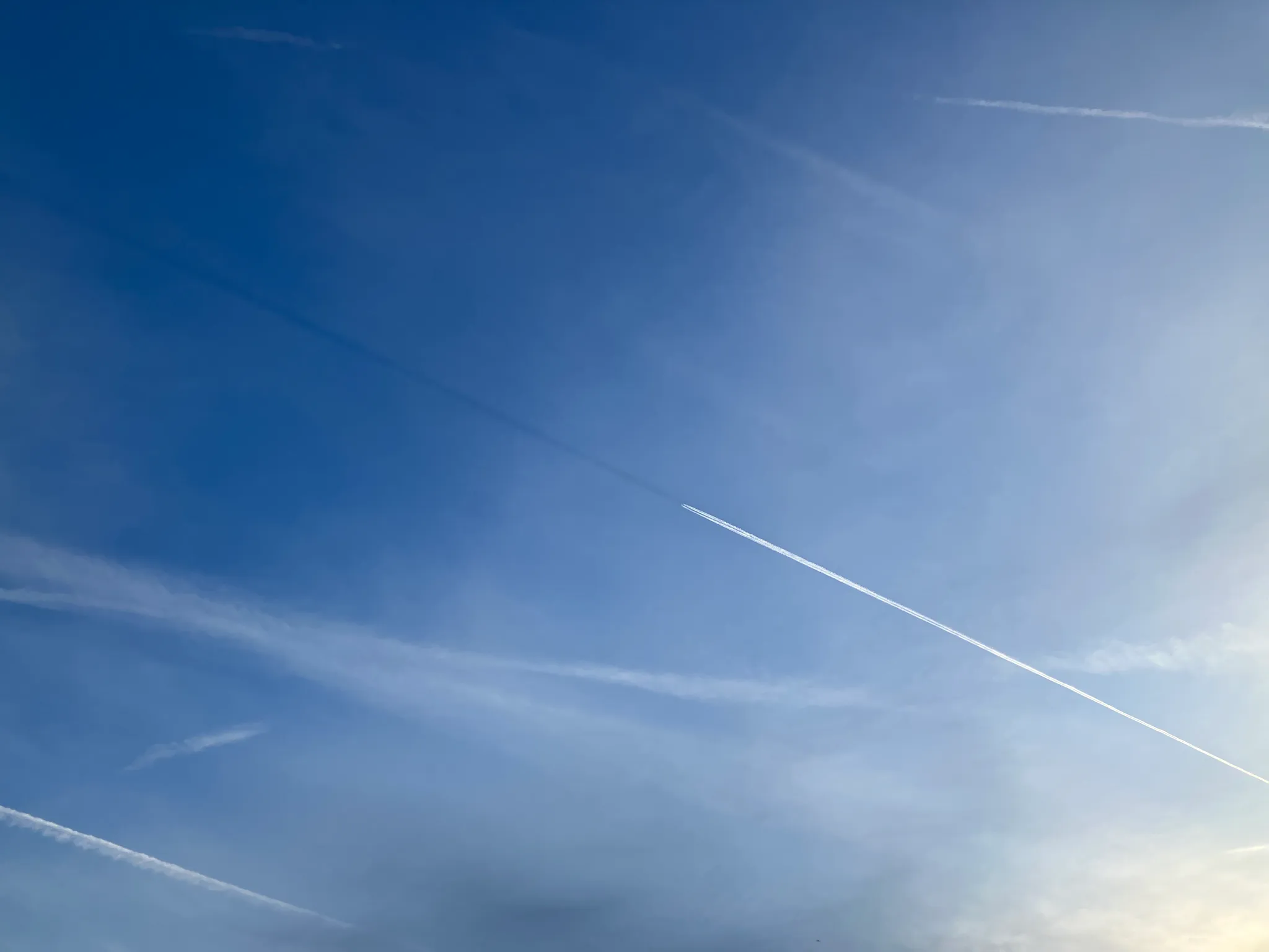 User banner image