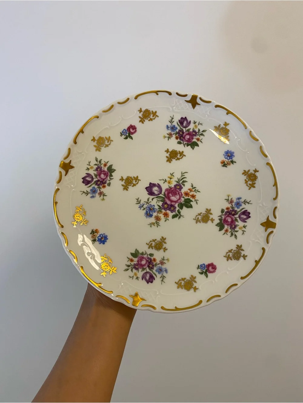 Reichenbach Royal Bavarian China P.M & M Plate Germany Pink Roses