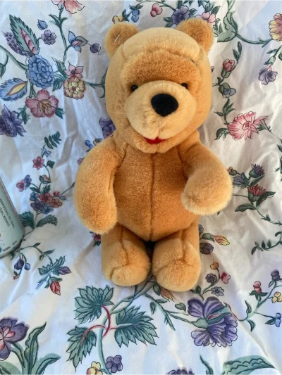 Disney Winnie The Pooh