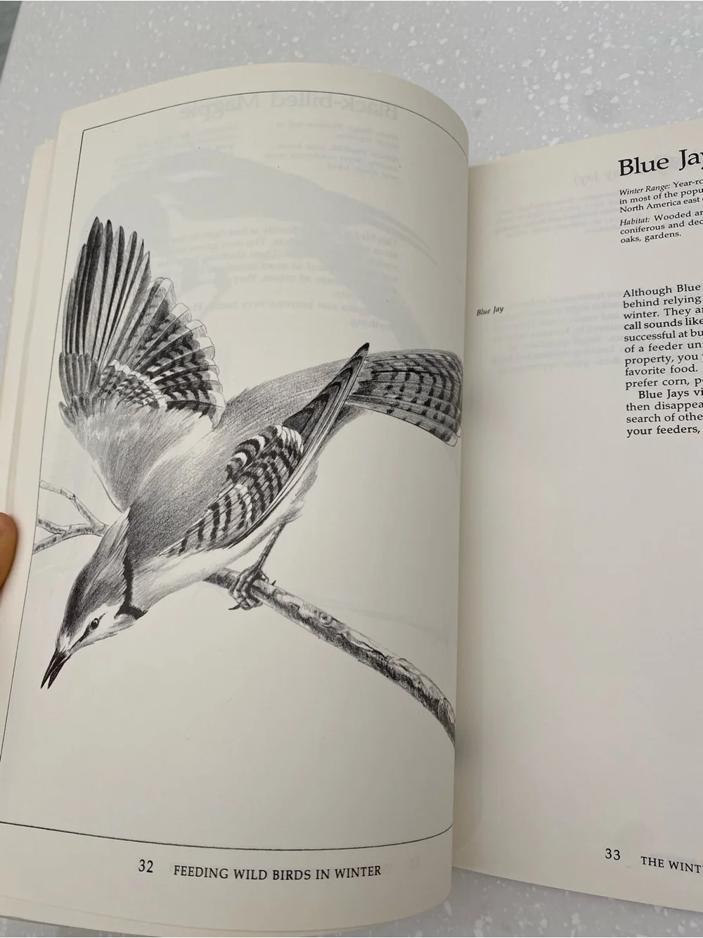 Book - Feeding Wild Birds In Winter - Green Cover Paper Back