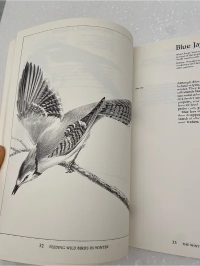 Book - Feeding Wild Birds In Winter - Green Cover Paper Back
