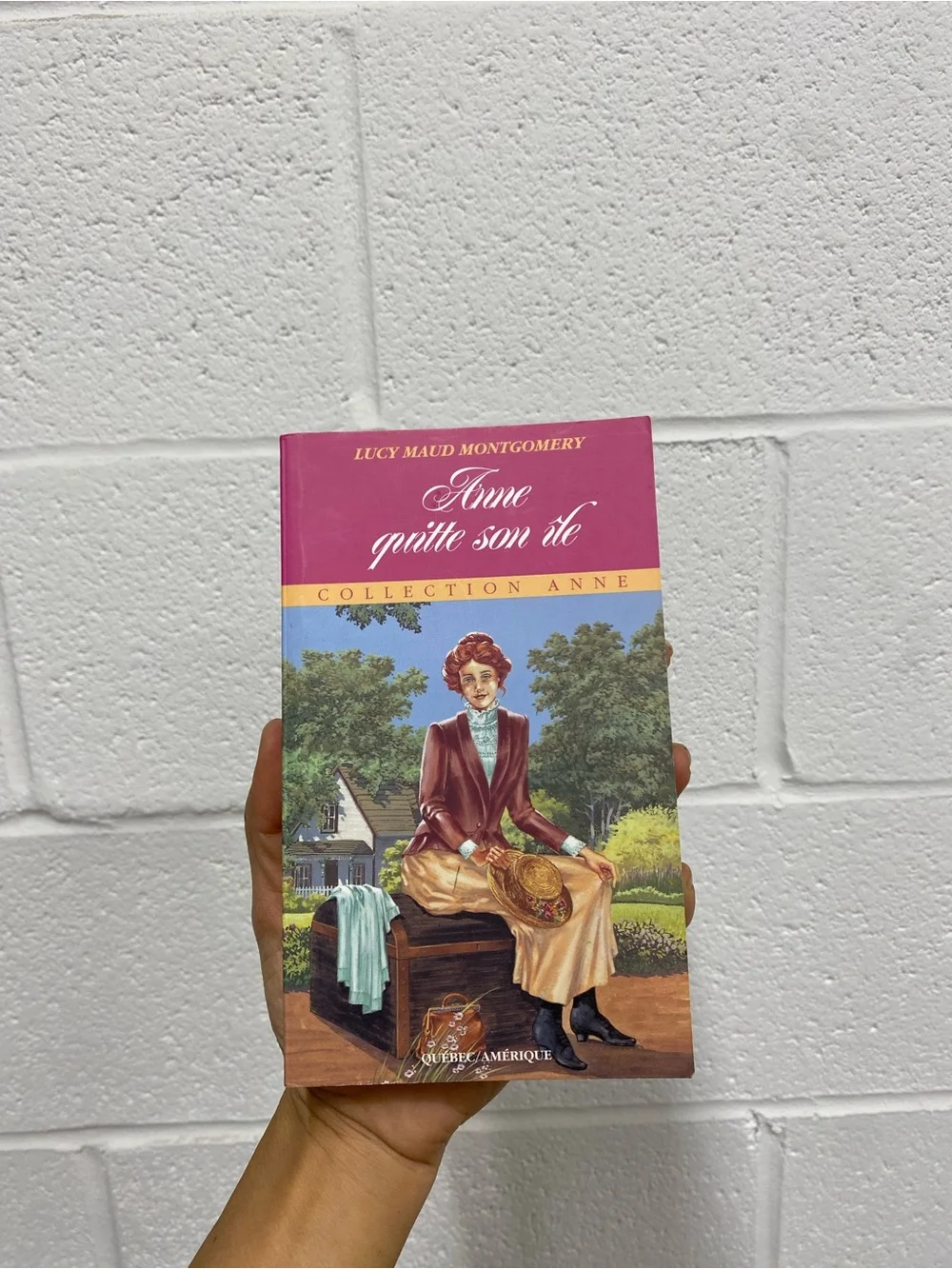 Anne Quitte Son Île And Published By Québec Amérique