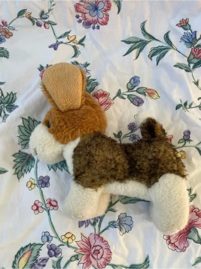 Small Dog
