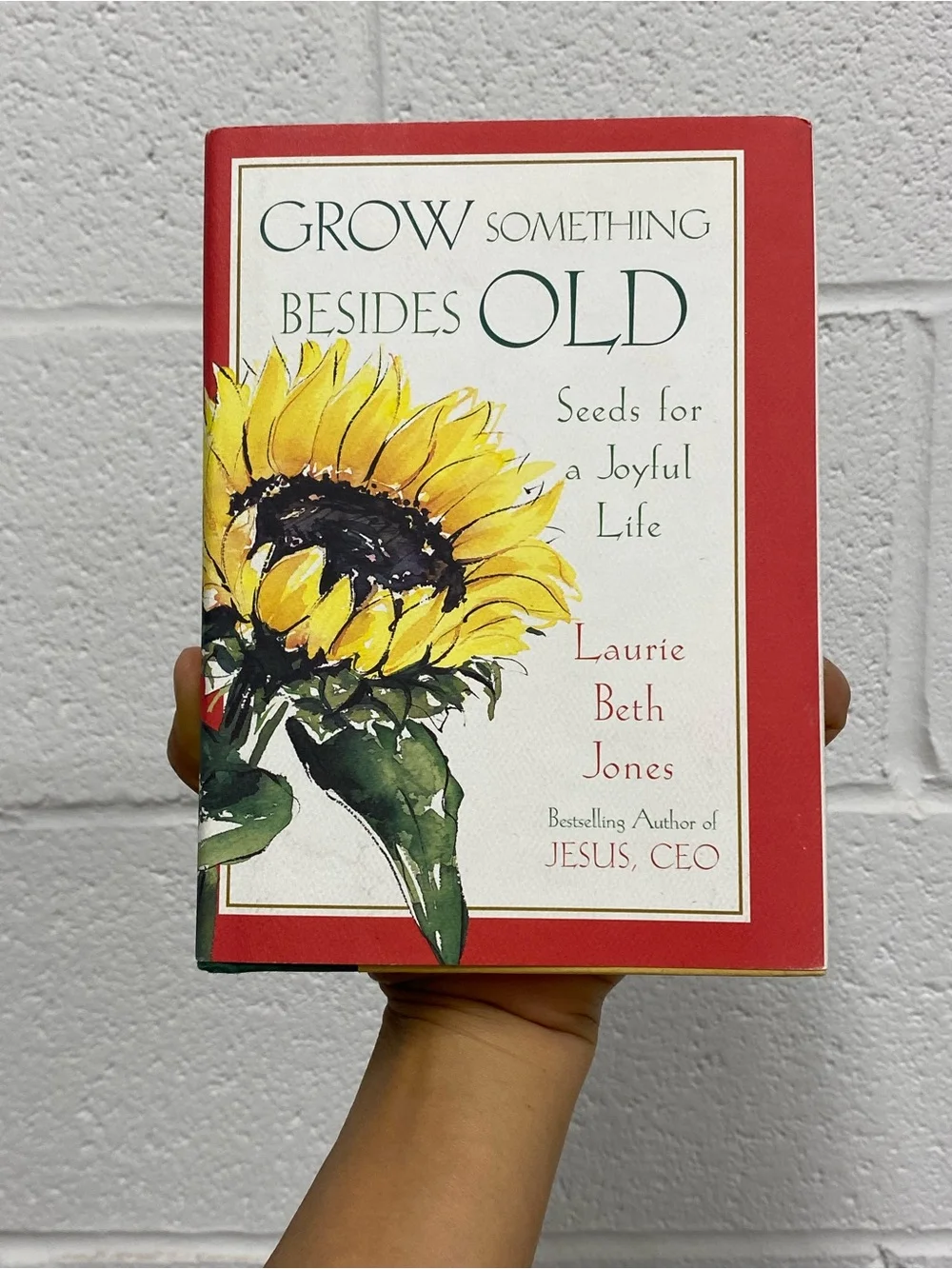 Grow Something Besides Old: Seeds For A Joyful Life By Laurie Jones Hardcover