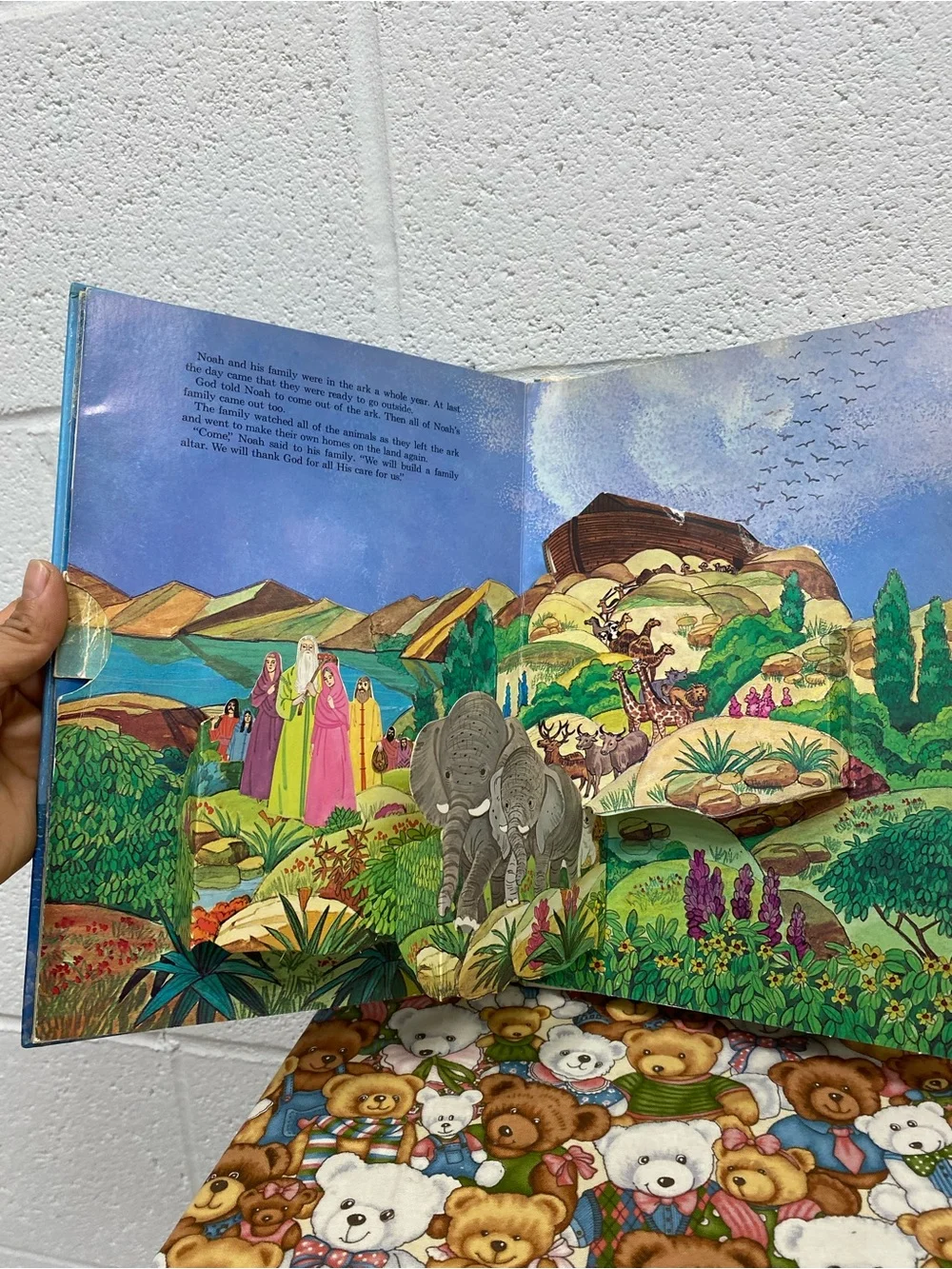 Noah’S Animal Boat Pop Up Book John Strejan Movable Book