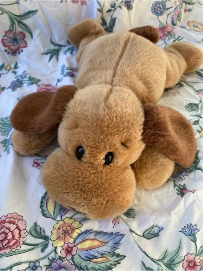 "Bones The Dog", A Classic Character From The Ty Beanie Buddies Collection