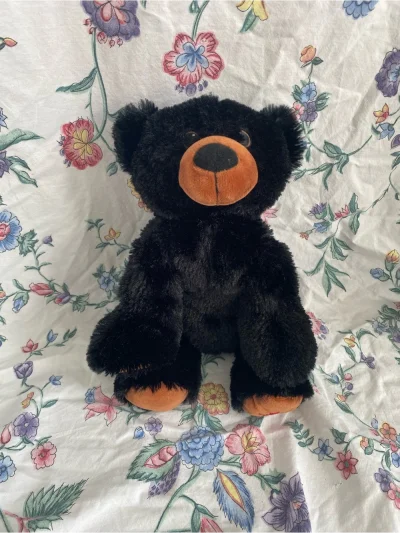 Plush Black Bear With Brown Accents - Soft Stuffed Animal