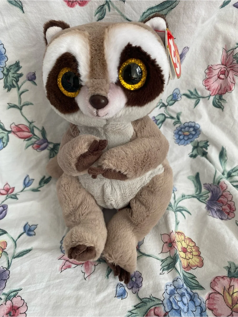 Ty Petey Racoon