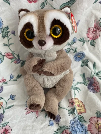 Ty Petey Racoon