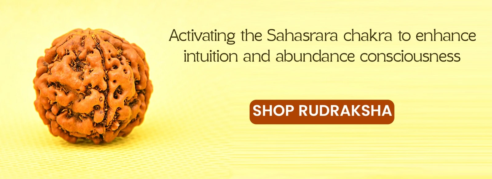 Sanathan Rudraksha Banner 2