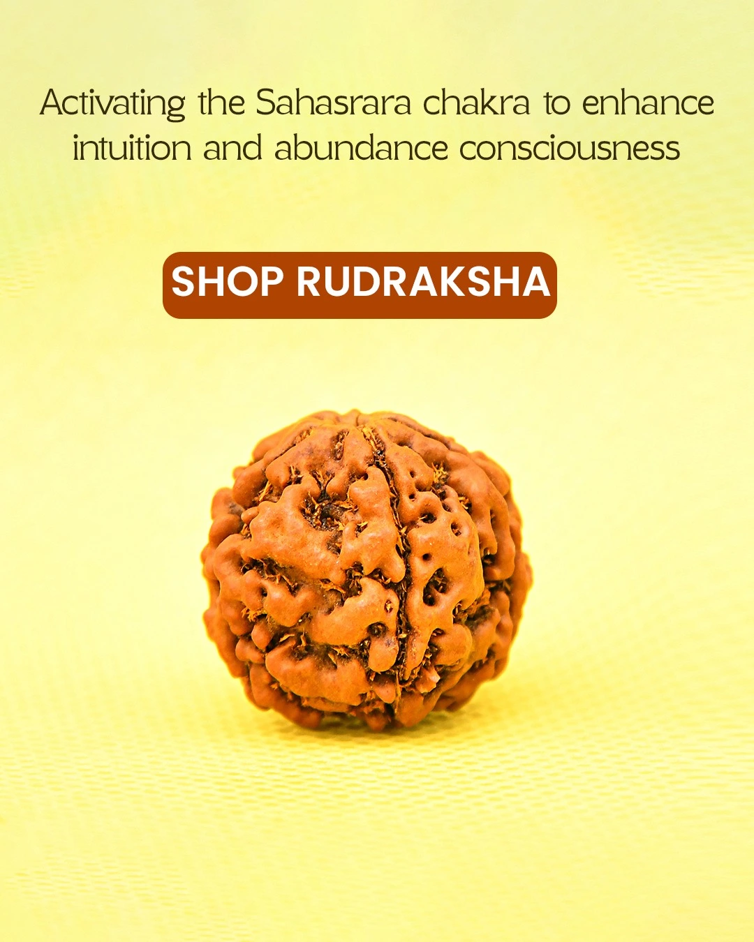 Sanathan Rudraksha Banner 2