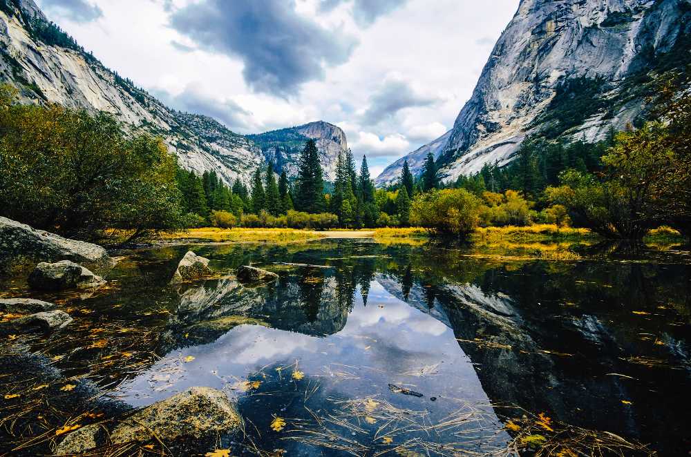 Yosemite Road Trip