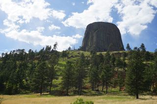 Devil's Tower