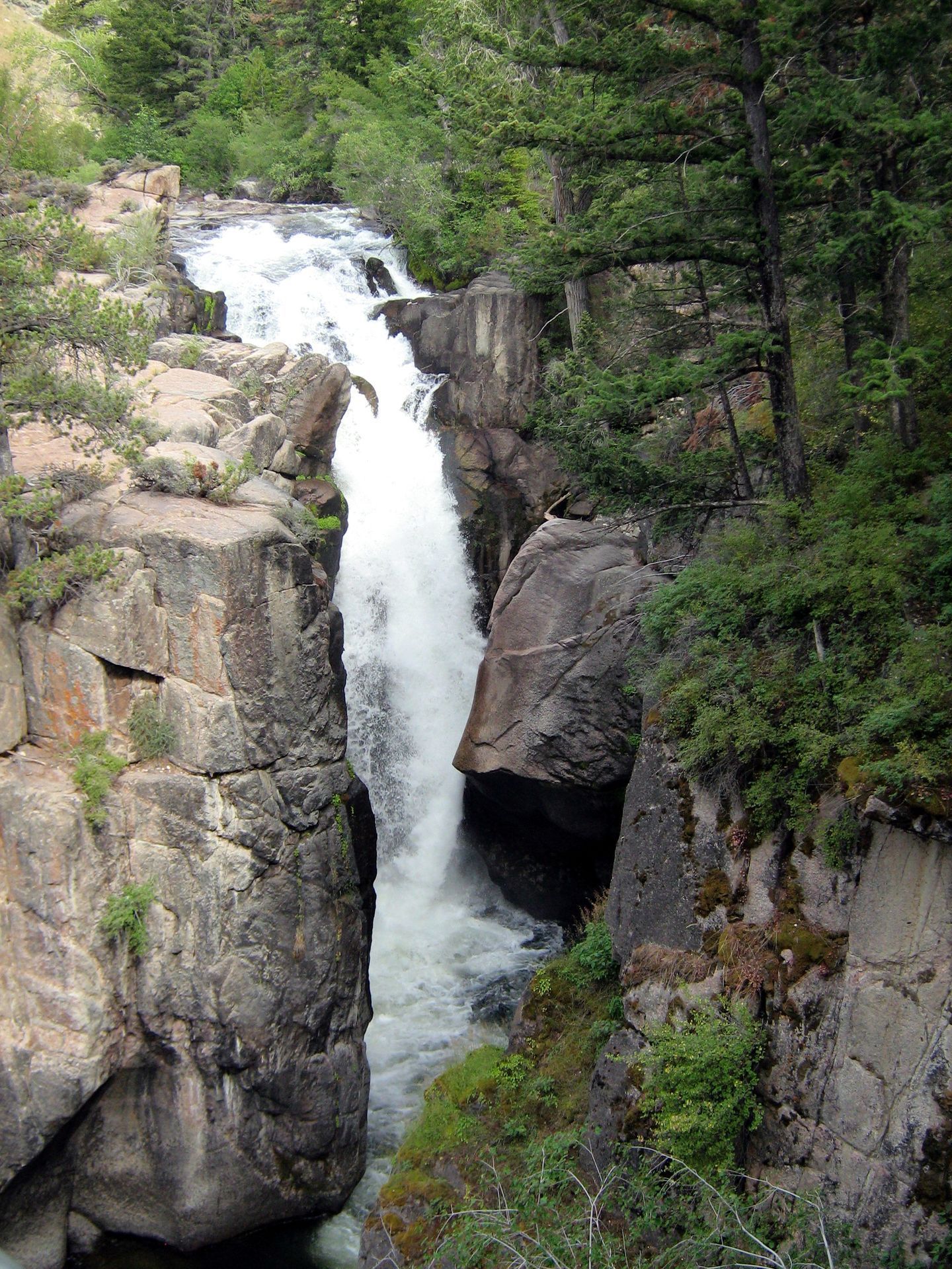 Shell Falls