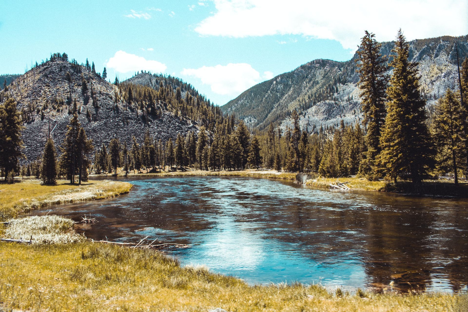 Yellowstone National Park-East Ent