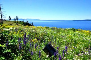 Yellowstone Lake