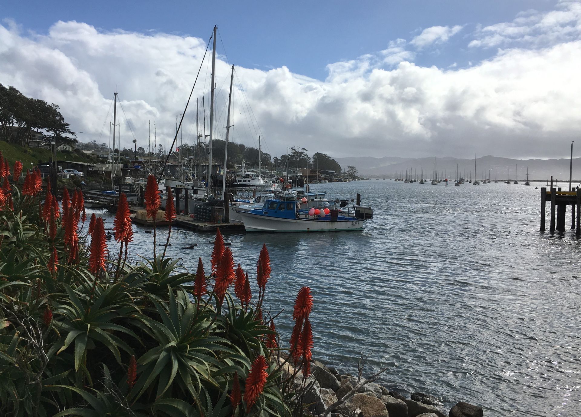 Morro Bay Callifornia