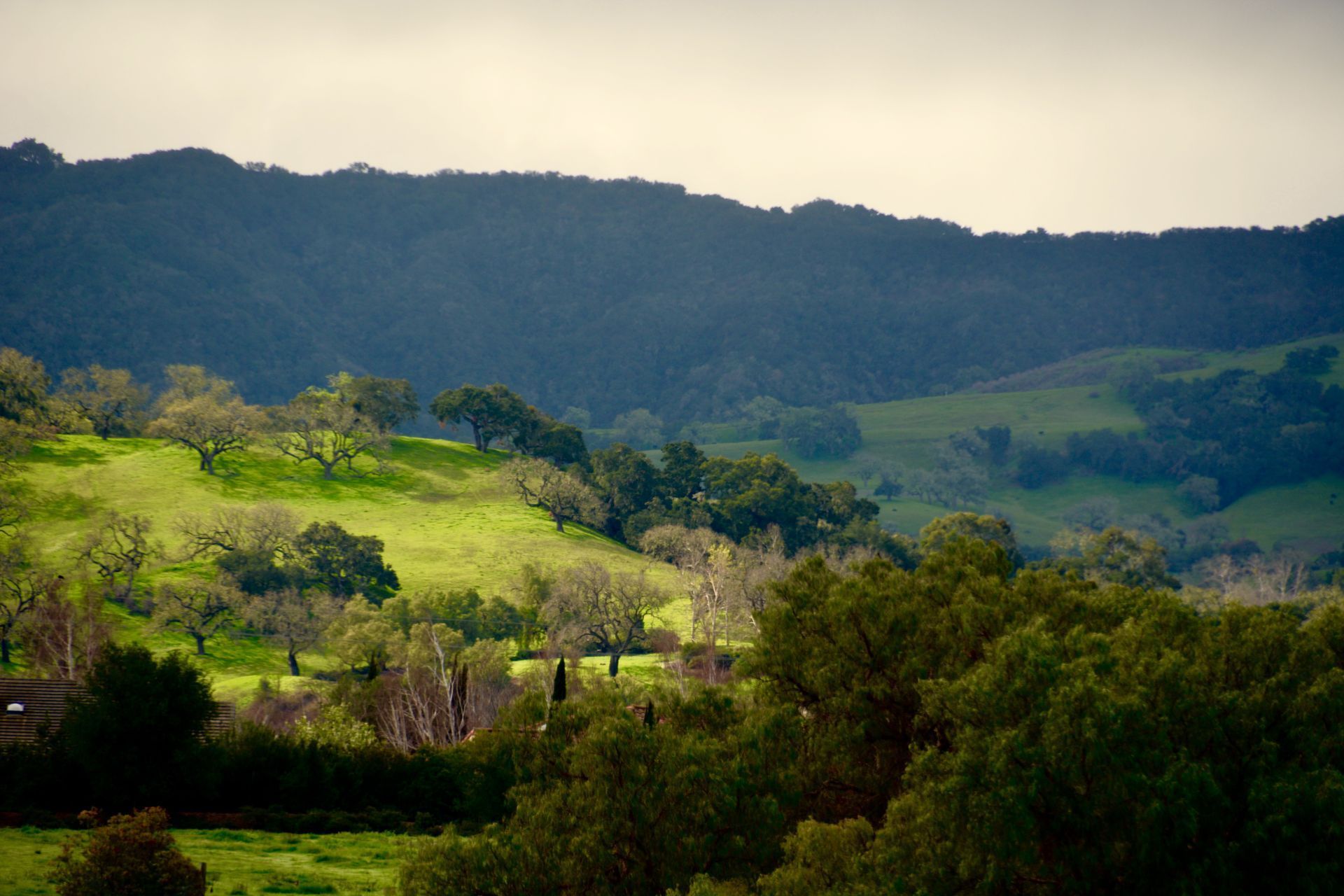 Santa Ynez Valley