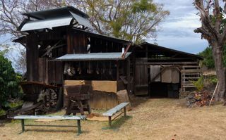 Kona Coffee Living History Farm