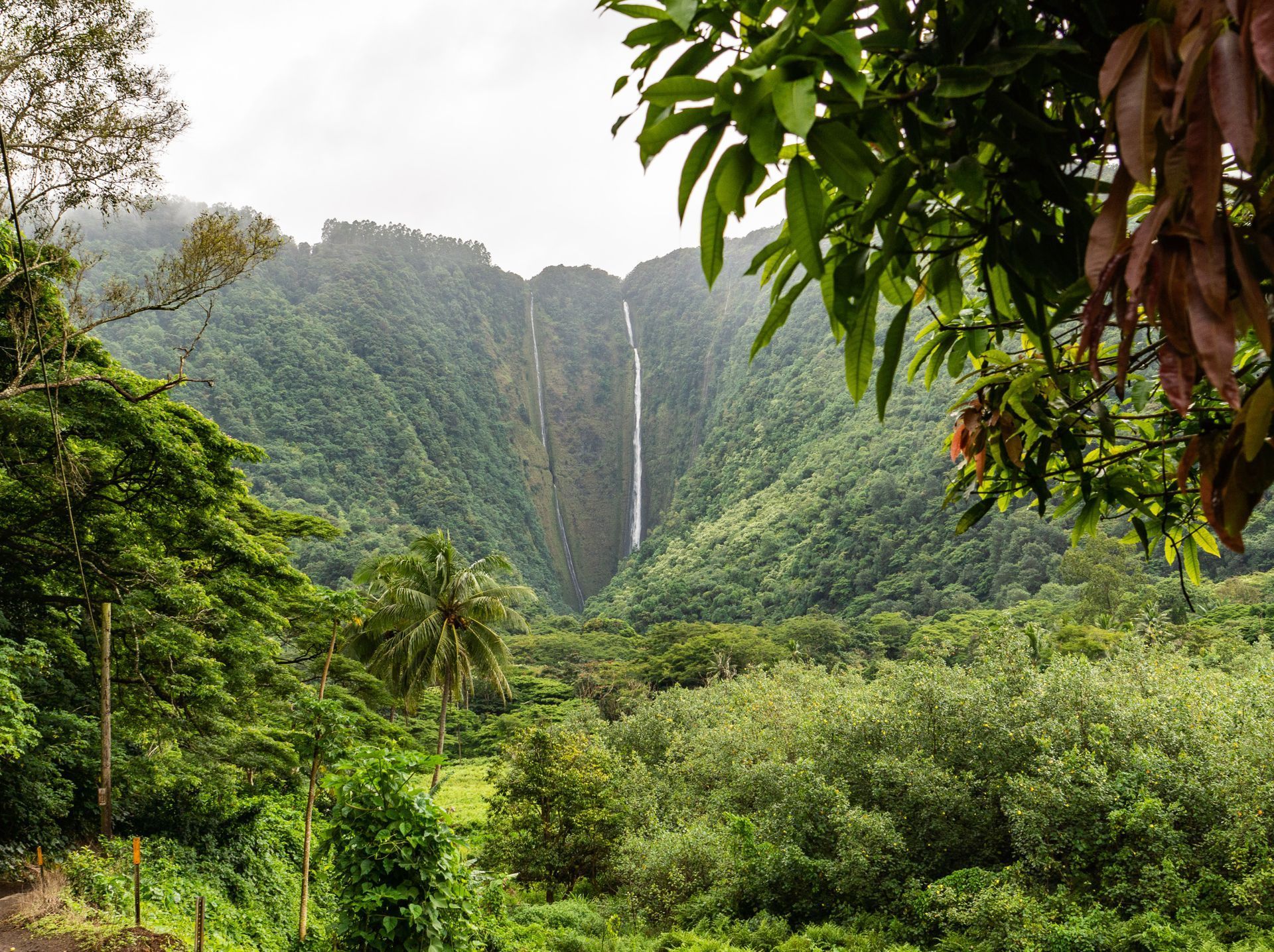 Waipi'o Valley