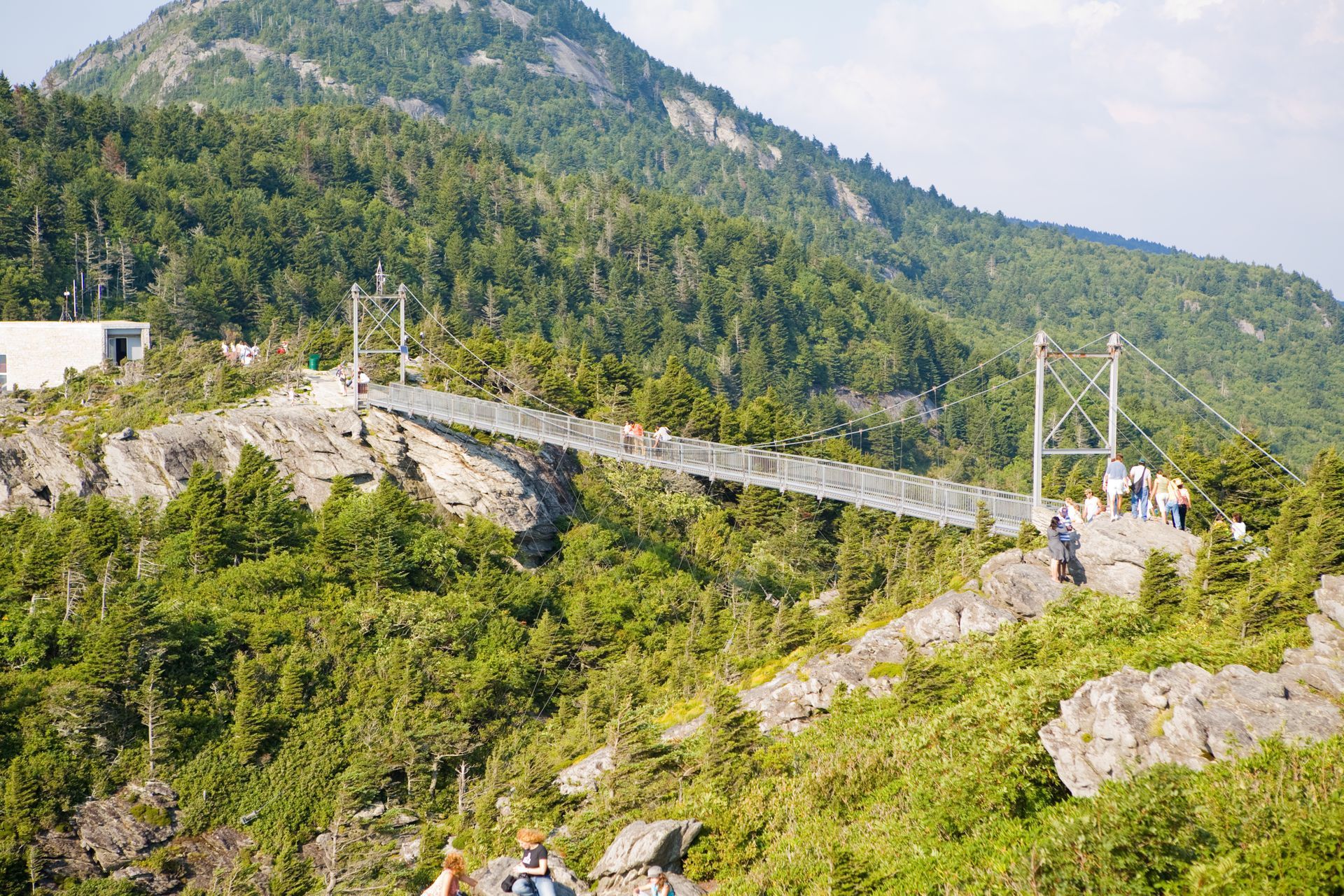 Swinging bridge (mile high) - Grandfather Mountain