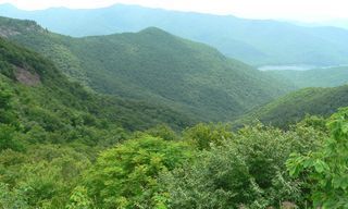 Craggy Gardens