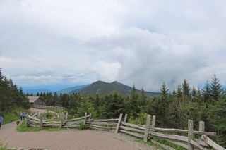 Mount Mitchell State Park